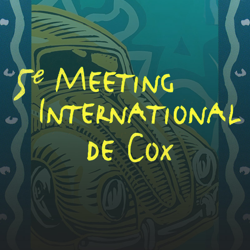 Meeting international de Cox