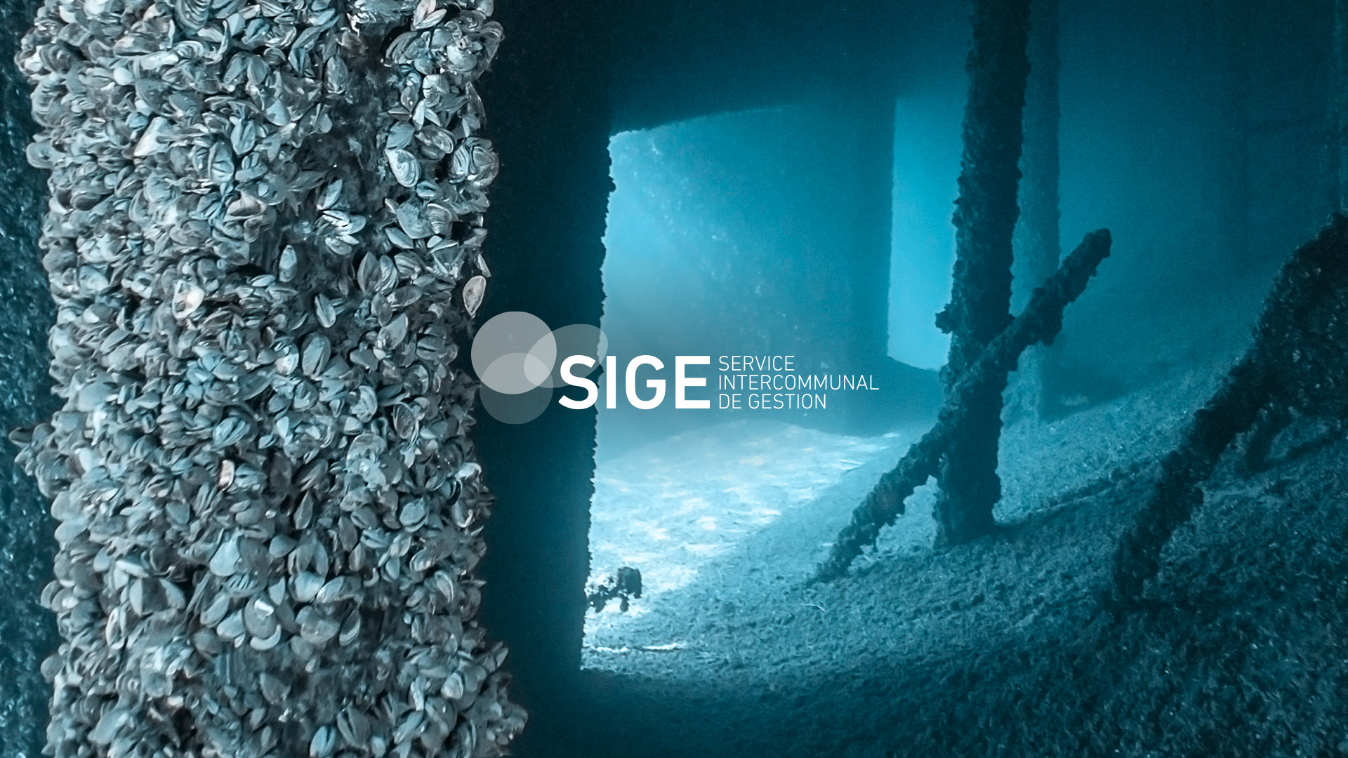 SIGE – Rapport de Gestion 2023