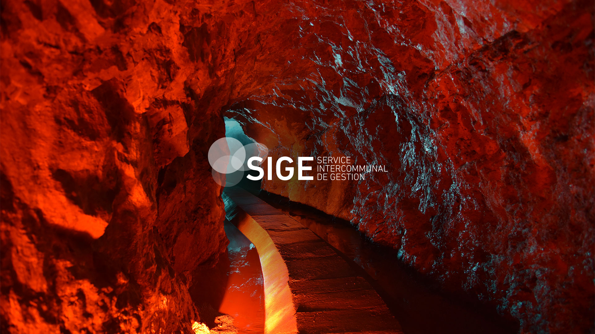 SIGE – Rapport de Gestion 2024